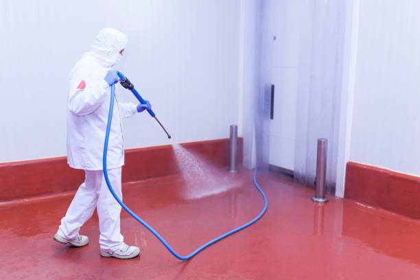 Playground Equipment Cleaning in Greenlawn, NY